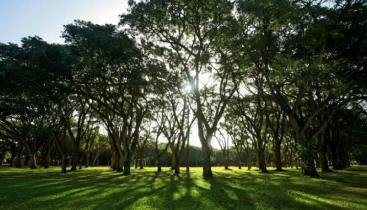 Espaço de lazer na reserva de Tatí Yupí, em Hernandarias. Foto: Gentileza/Itaipu Binacional (Paraguai)