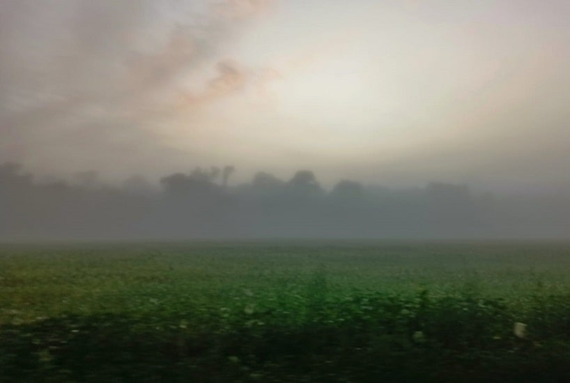 Neblina na área rural de Foz do Iguaçu por volta das 6h, em registro do fotógrafo Marcos Labanca para o H2FOZ.