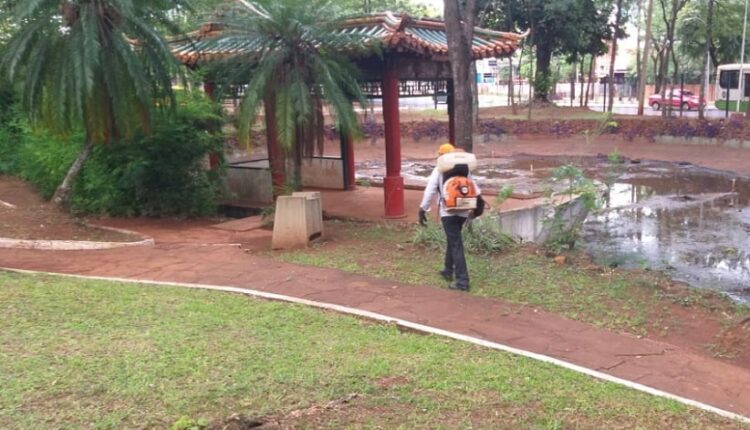 Estrutura do parque está degradada após quase quatro décadas de construção. Imagem: Gentileza/Prefeitura de Ciudad del Este (Arquivo)