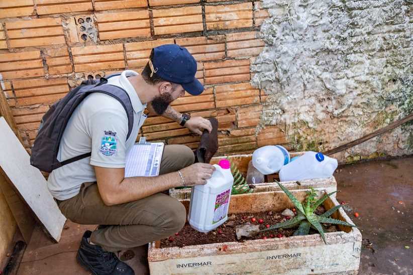 dengue em foz do iguaçu