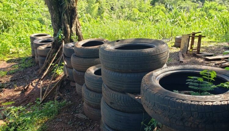 Depósito de pneus na periferia de Puerto Iguazú, encontrado durante ações de limpeza promovidas pela prefeitura local. Imagem: Gentileza/Prefeitura de Puerto Iguazú