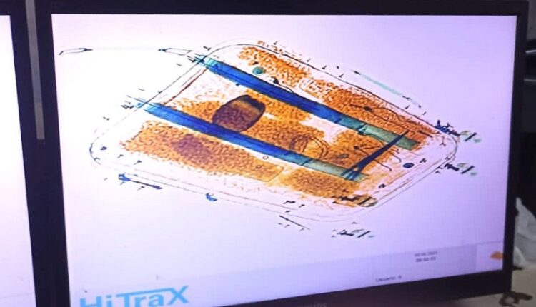 Presença da substância foi identificada durante a inspeção com equipamento de raios X. Imagem: Gentileza/PSA