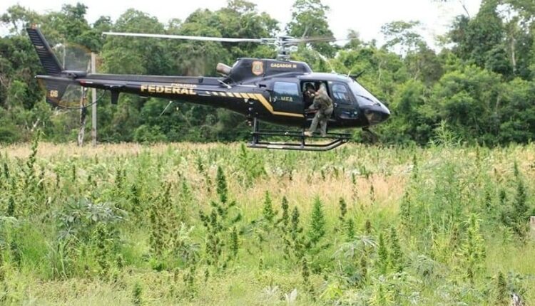 Polícia Federal costuma usar helicópteros nas edições da Operação Nova Aliança, ocorridas em conjunto com o Paraguai. Foto: Gentileza/Senad