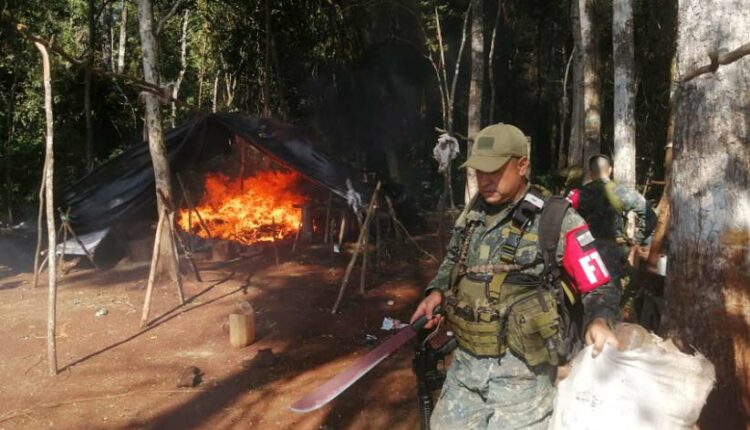 Objetivo é eliminar plantações de maconha e estruturas usadas pelos tráfico. Foto: Gentileza/Senad