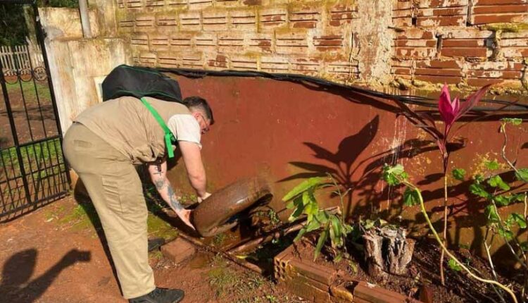 Funcionário do Senepa vistoria quintal em busca de potenciais criadouros do mosquito. Foto: Gentileza/Senepa Paraguay