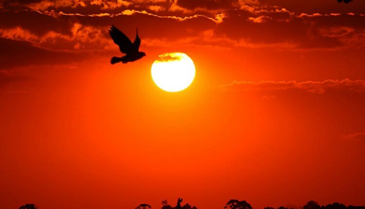 Temperaturas acima da média exigem cuidados adicionais com a saúde. Foto: José Fernando Ogura/AEN