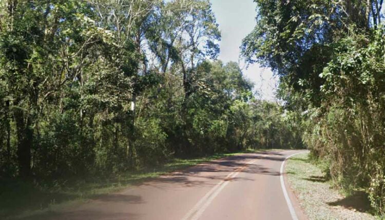 Trecho da RN 101 no interior do Parque Nacional Iguazú, próximo ao local do atropelamento. Imagem: Google Street View (Arquivo)