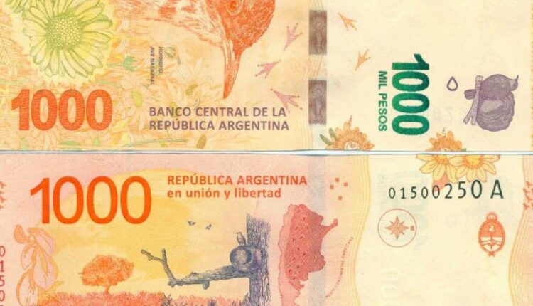 Cédula de P$ 1.000, em homenagem ao joão-de-barro. Foto: Reprodução/Banco Central da República Argentina