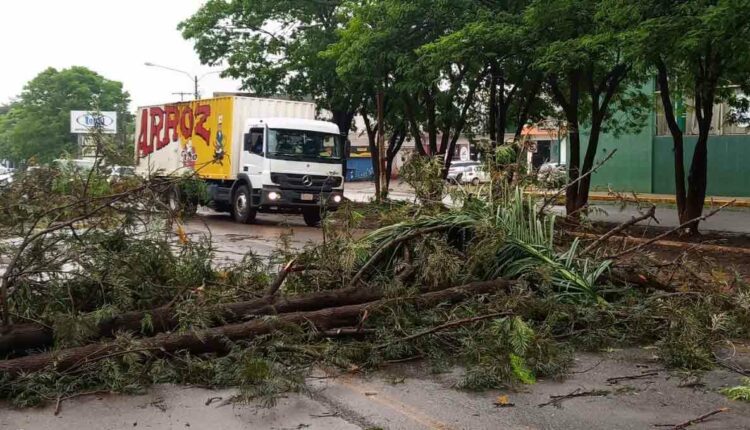 Rodovia PY06, que cruza a cidade de Santa Rita, ficou interrompida em vários trechos. Foto: Gentileza/Municipalidad de Santa Rita