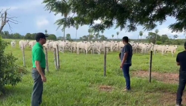 Roubo ocorreu no dia 27 de dezembro, na localidade de Hugua Ñandu. Foto: Gentileza/Ministério Público do Paraguai