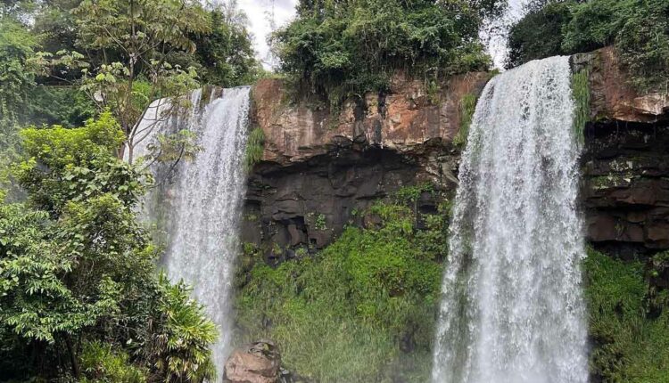 Trâmites podem ser iniciados pela internet, com prazos abreviados. Foto: Gentileza/Parque Nacional Iguazú