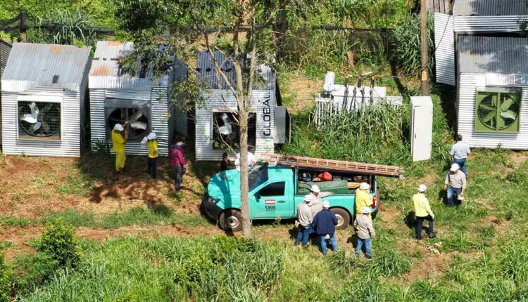 Companhia pede à população que denuncie situações irregulares. Foto: Gentileza/Administración Nacional de Eletricidad