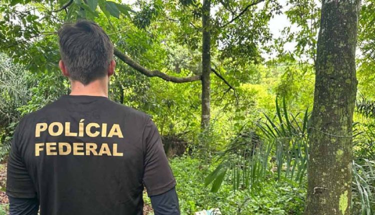 Agentes vistoriaram locais em meio à mata, que estariam sendo usados como dormitório pelos trabalhadores. Foto: Gentileza/Polícia Federal