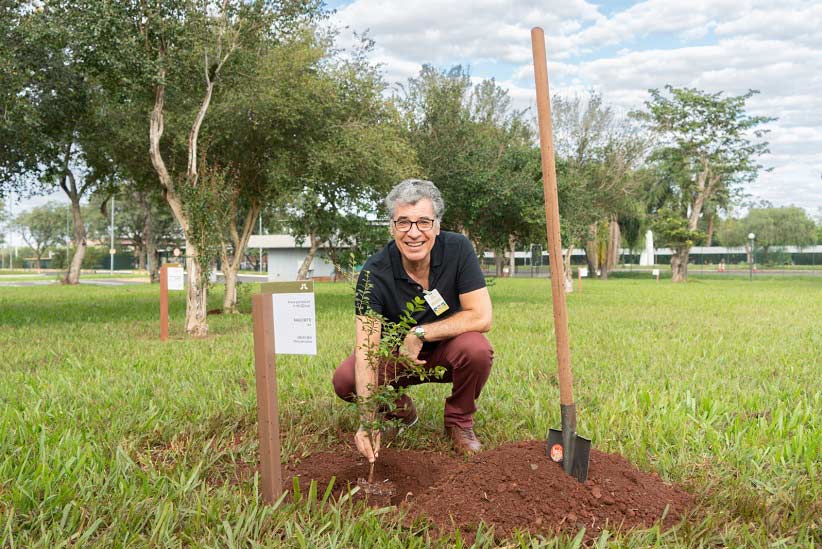 Muda plantada por Betti é vizinha às árvores de José Wilker e Ziraldo. Foto: Sara Cheida/Itaipu Binacional