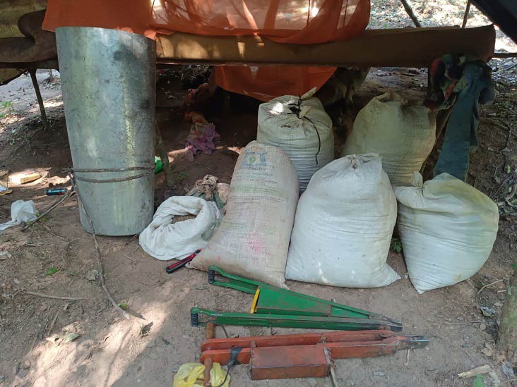 Pacotes com cerca de 30 quilos de sementes de maconha foram encontrados nos acampamentos localizados em Itakyry. Foto: Gentileza/Senad