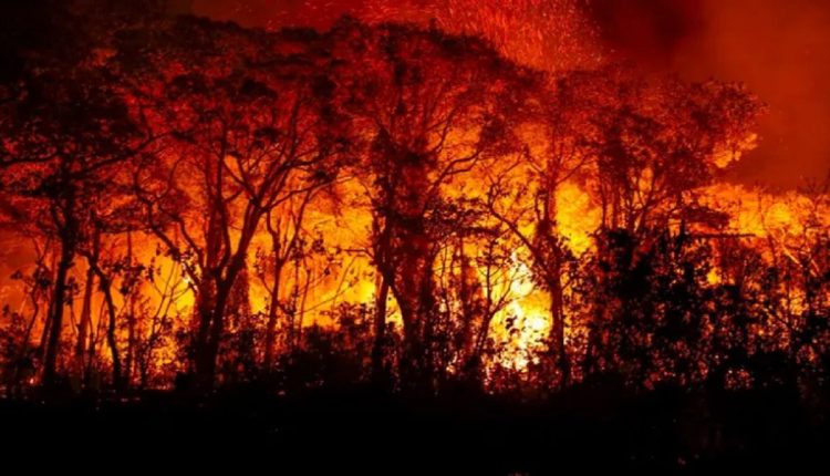 Municípios que mais desmatam, mais incêndios têm.