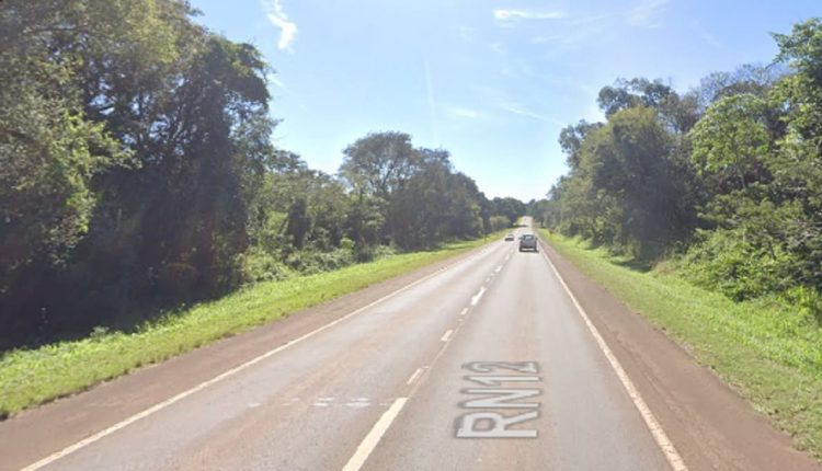 Atropelamento ocorreu na Rodovia Nacional n.º 12, em local com matas dos dois lados da pista. Imagem: Google Street View (Arquivo)