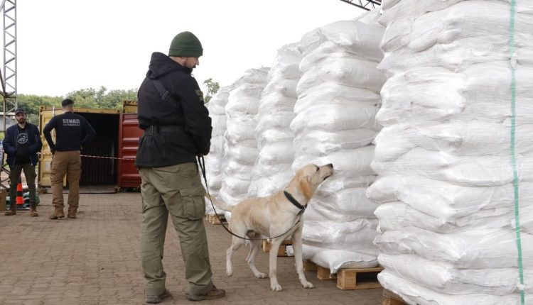 Investigadores vinham monitorando os rumores de que uma grande carga estava prestes a partir do país. Foto: Gentileza/Senad