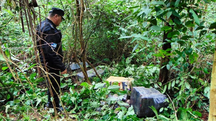 Parte da carga foi esparramada pela vegetação ao redor do local do abandono. Foto: Gentileza/Polícia de Misiones