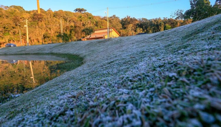 Gramados e pastagens amanheceram brancos em várias regiões do estado neste domingo (11). Foto: Valdelino Pontes/Secid (Arquivo)