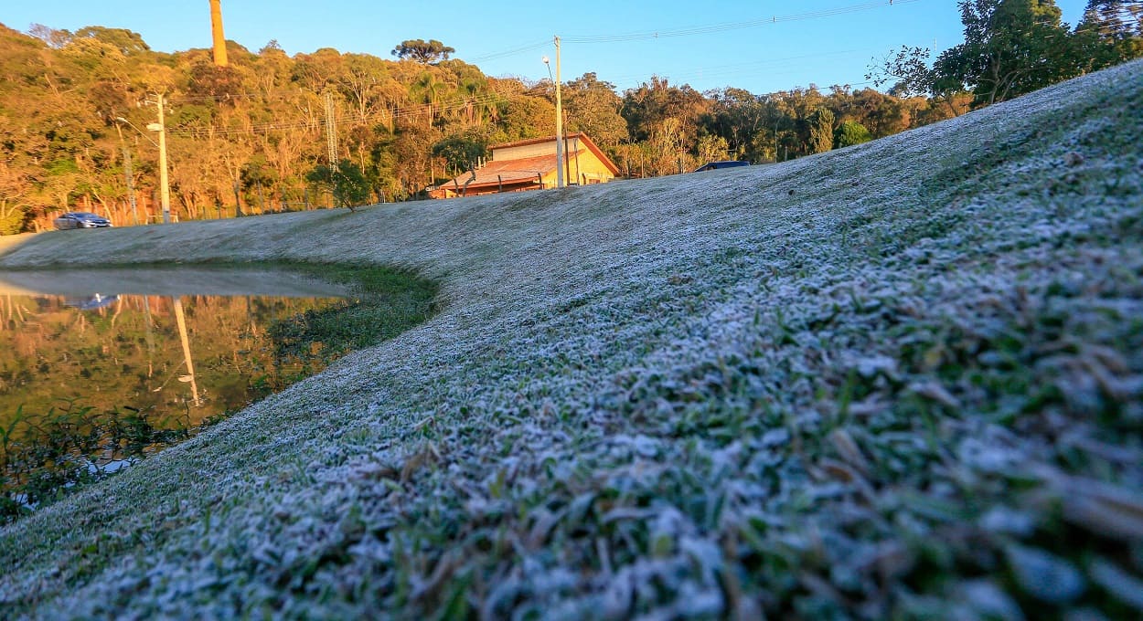 Gramados e pastagens amanheceram brancos em várias regiões do estado neste domingo (11). Foto: Valdelino Pontes/Secid (Arquivo)