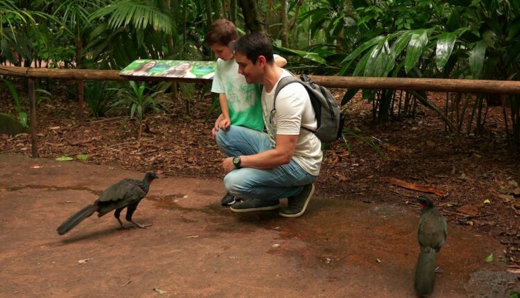 Parque das aves