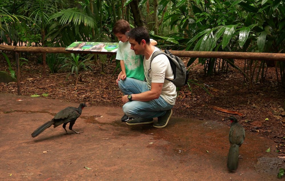 Parque das aves