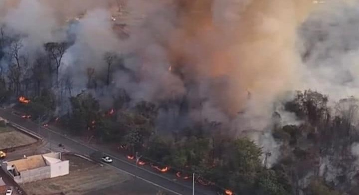 Floresta incendiada é uma prática recorrente em Cianorte