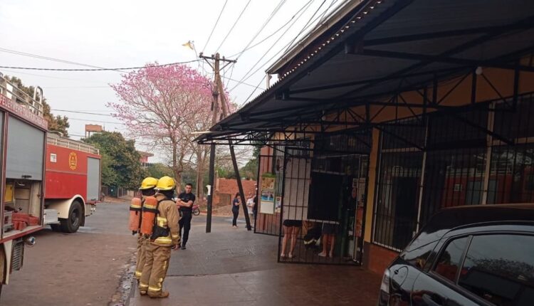 Felizmente, não houve registro de feridos ou de danos materiais significativos. Foto: Gentileza/Corpo de Bombeiros Voluntários de Puerto Iguazú