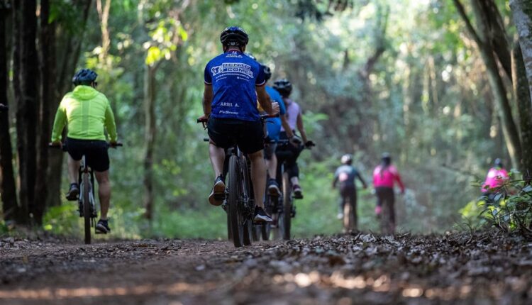 Primeiro passeio da série comemorativa foi no Refúgio Biológico de Santa Helena, em agosto. Foto: William Brisida/Itaipu Binacional