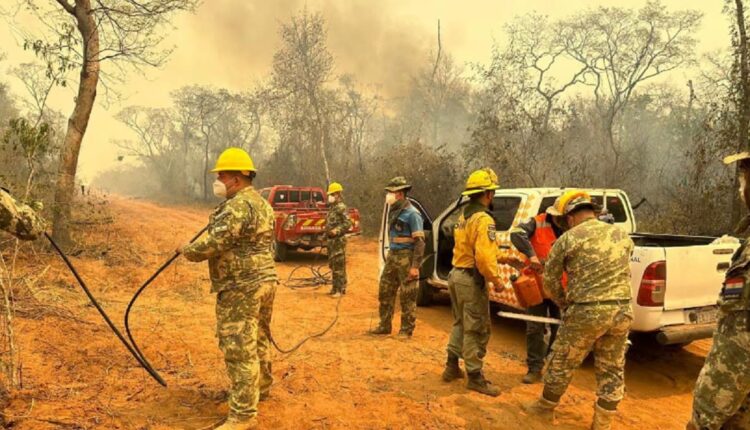 Ventos fortes e vegetação seca amplificam a ocorrência de incêndios. Foto: Gentileza/Secretaria de Emergência Nacional