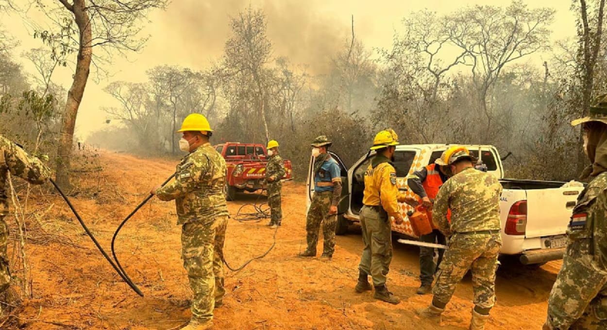 Ventos fortes e vegetação seca amplificam a ocorrência de incêndios. Foto: Gentileza/Secretaria de Emergência Nacional