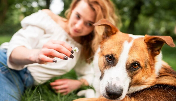 A causa animal vai além de promessas, necessita e políticas públicas eficazes e eficientes.