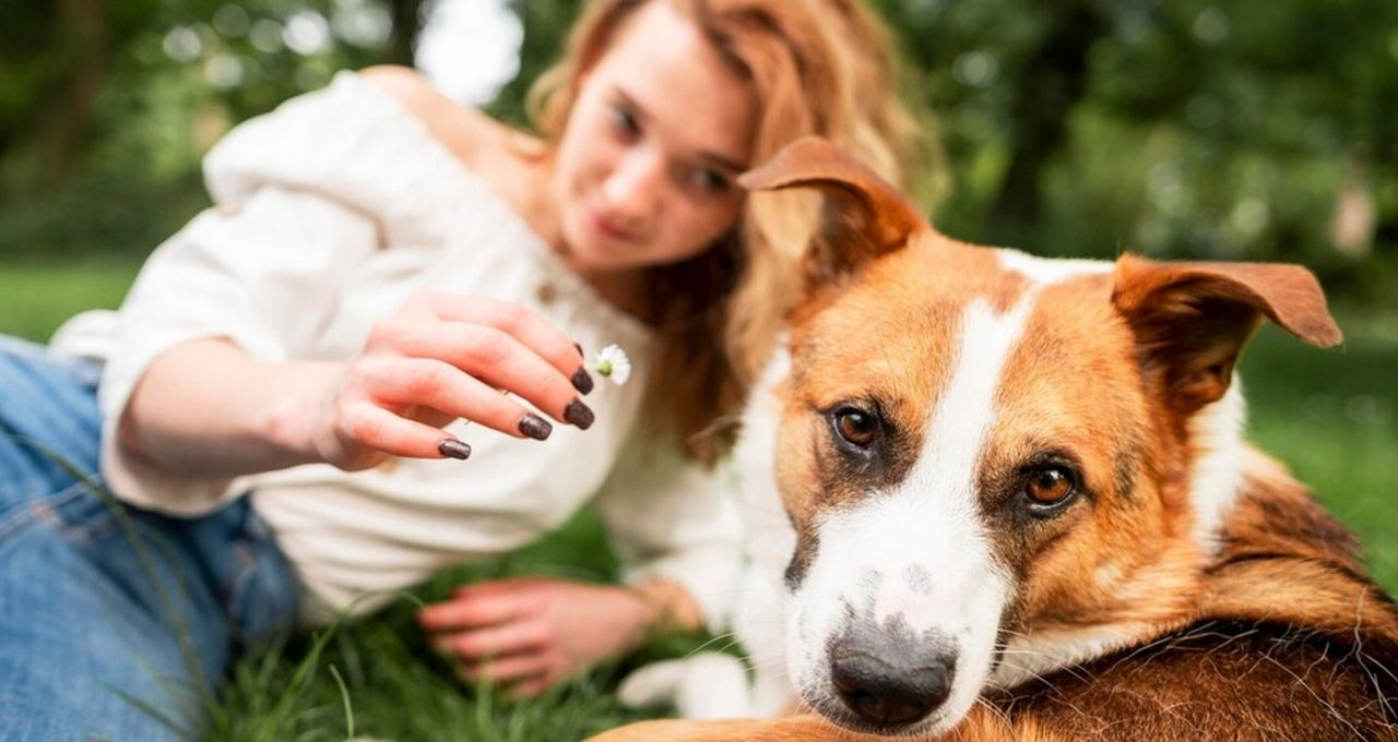 A causa animal vai além de promessas, necessita e políticas públicas eficazes e eficientes.