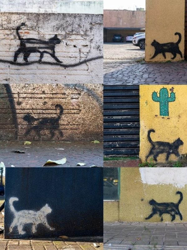 Gatos misteriosos: A arte felina nos muros de Foz