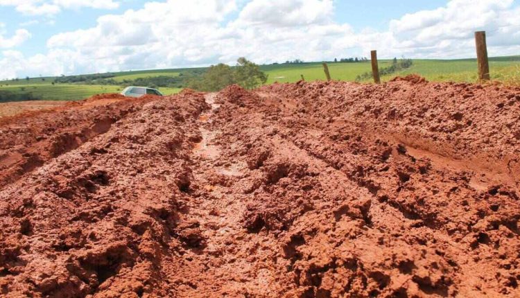 Memória afetiva, cheiro de terra molhada está indo embora.