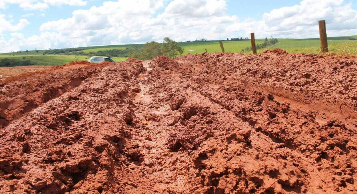 Memória afetiva, cheiro de terra molhada está indo embora.