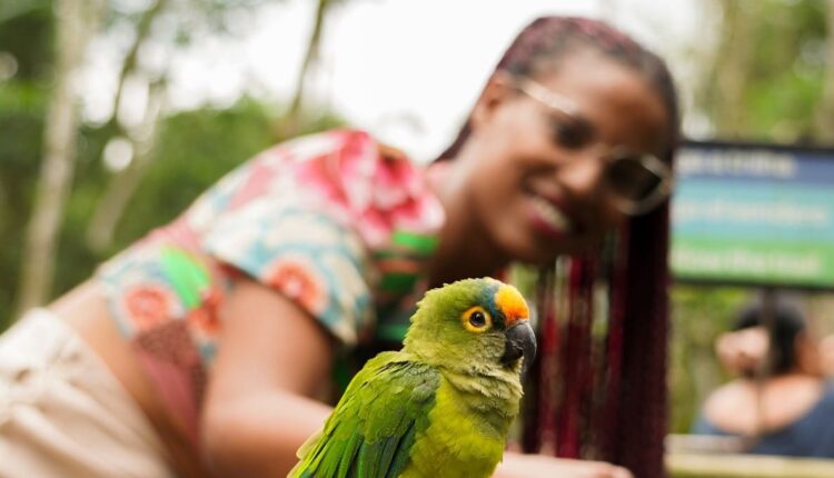 Parque das Aves foi inaugurado em 7 de outubro de 1994. Foto: Divulgação/Parque das Aves