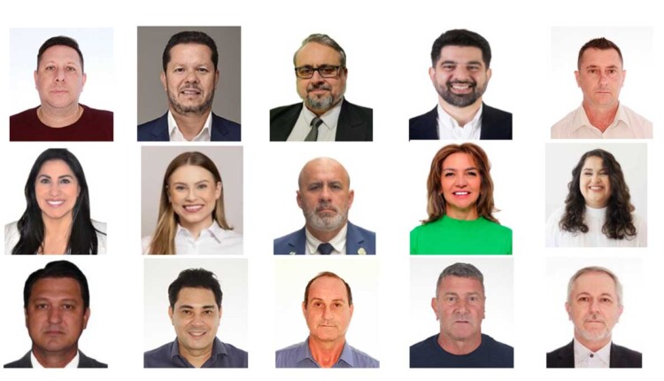 Dos 15 vereadores da atual legislatura, apenas quatro conseguiram a reeleição. Montagem: H2FOZ, com base nas fotos de urna dos candidatos.