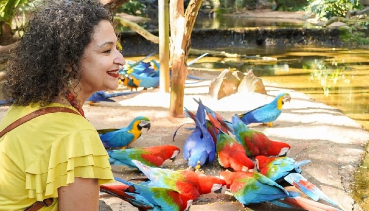 Parque das Aves proporciona contato imersivo com diferentes espécies. Foto: Divulgação/Parque das Aves