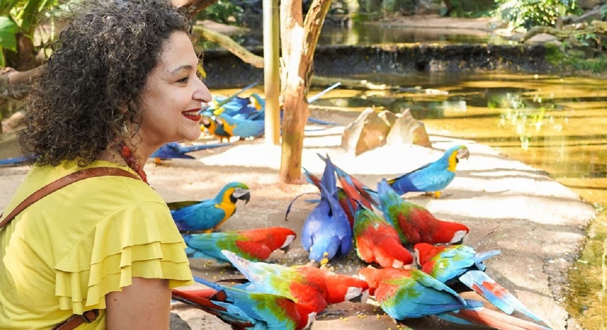 Parque das Aves proporciona contato imersivo com diferentes espécies. Foto: Divulgação/Parque das Aves