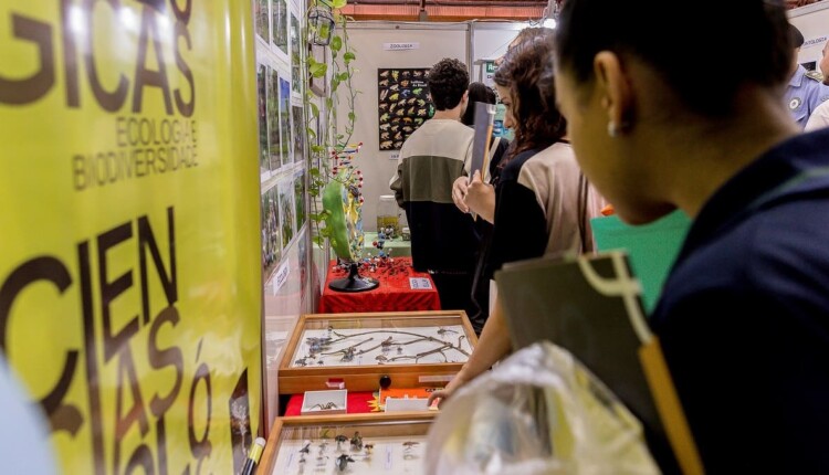 Evento é também uma vitrine dos trabalhos desenvolvidos pela instituição. Foto: Assessoria/Unila