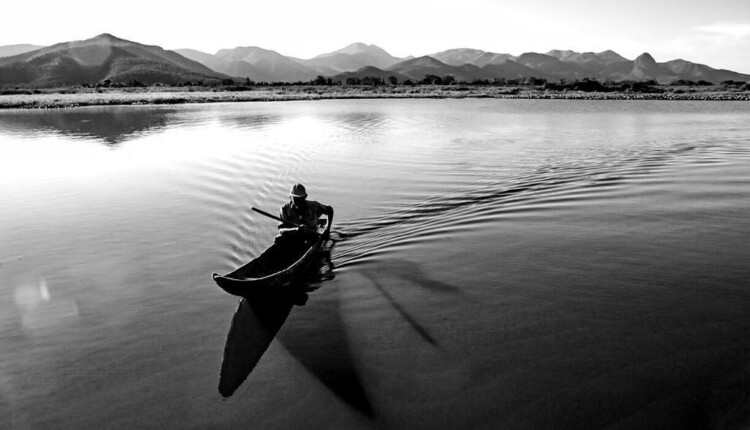 Curta Pantanal