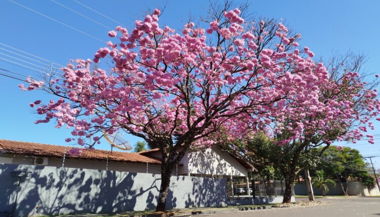 O meio urbano e a sustentabilidade precisam dialogar urgentemente