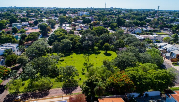 Antes das obras da escola que não aconteceu, tudo era verde na Praça das Aroeiras