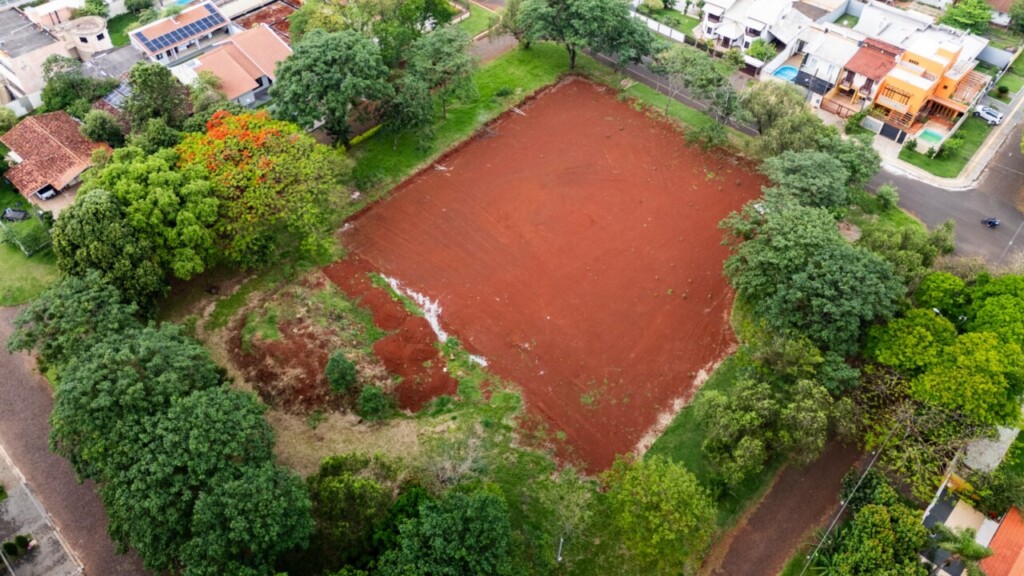 Primeiro derrubaram o verde, depois perceberam que dali não brotaria uma escola por tão cedo