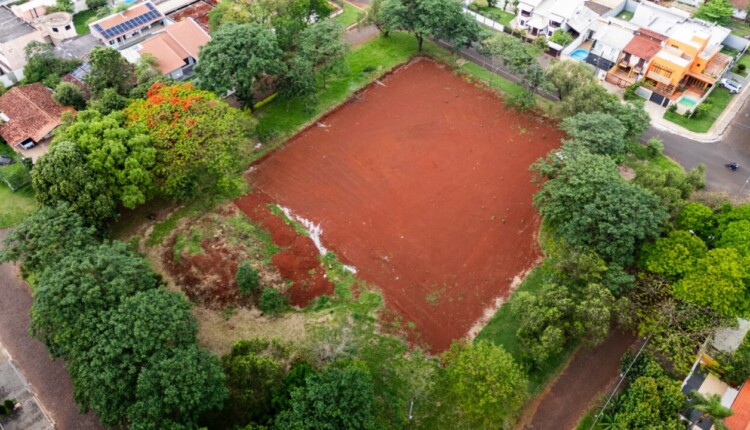 Primeiro derrubaram o verde, depois perceberam que dali não brotaria uma escola por tão cedo