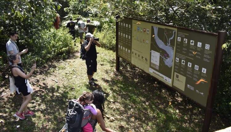 Trilha tem dois pontos de acesso, em Porto Canoas e no Caminho das Bananeiras. Foto: Bruna Nieradka