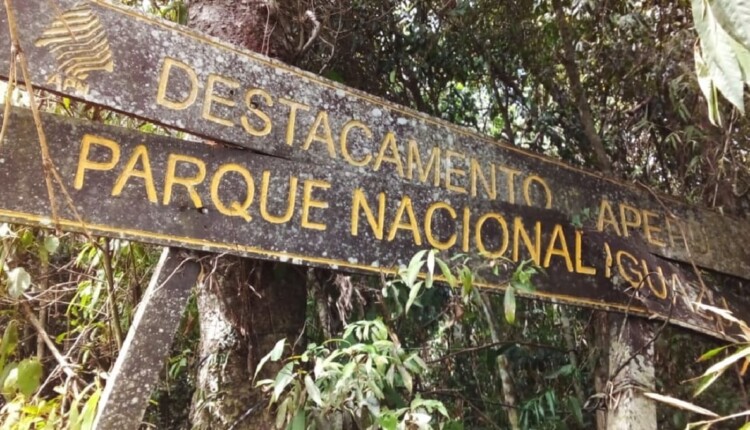 Instituições fazem trabalho constante de monitoramento de zoonoses na unidade de conservação. Foto: Gentileza/Parque Nacional Iguazú