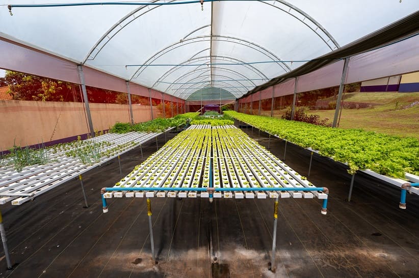 Produção da horta é vendida a empreendimentos locais e ajuda na viabilização de renda para os atendidos pela AFA. Foto: William Brisida/Itaipu Binacional